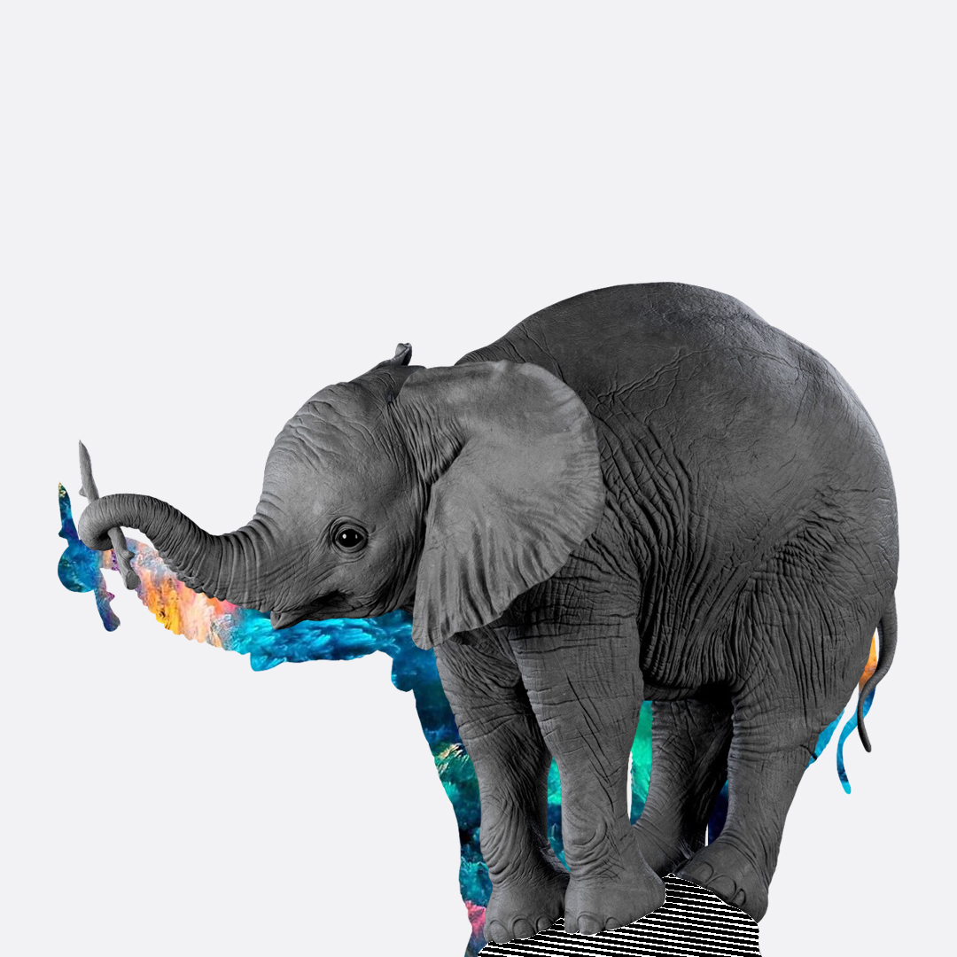 Слоненя з патичком ілюструє статтю про welcome-ланцюжок email-розсилок.