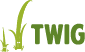Розробка вебсайтів - 68 Логотип TWIG.